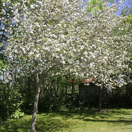 Countryside Eco Natuurhuisjes Ee Kültér fotó