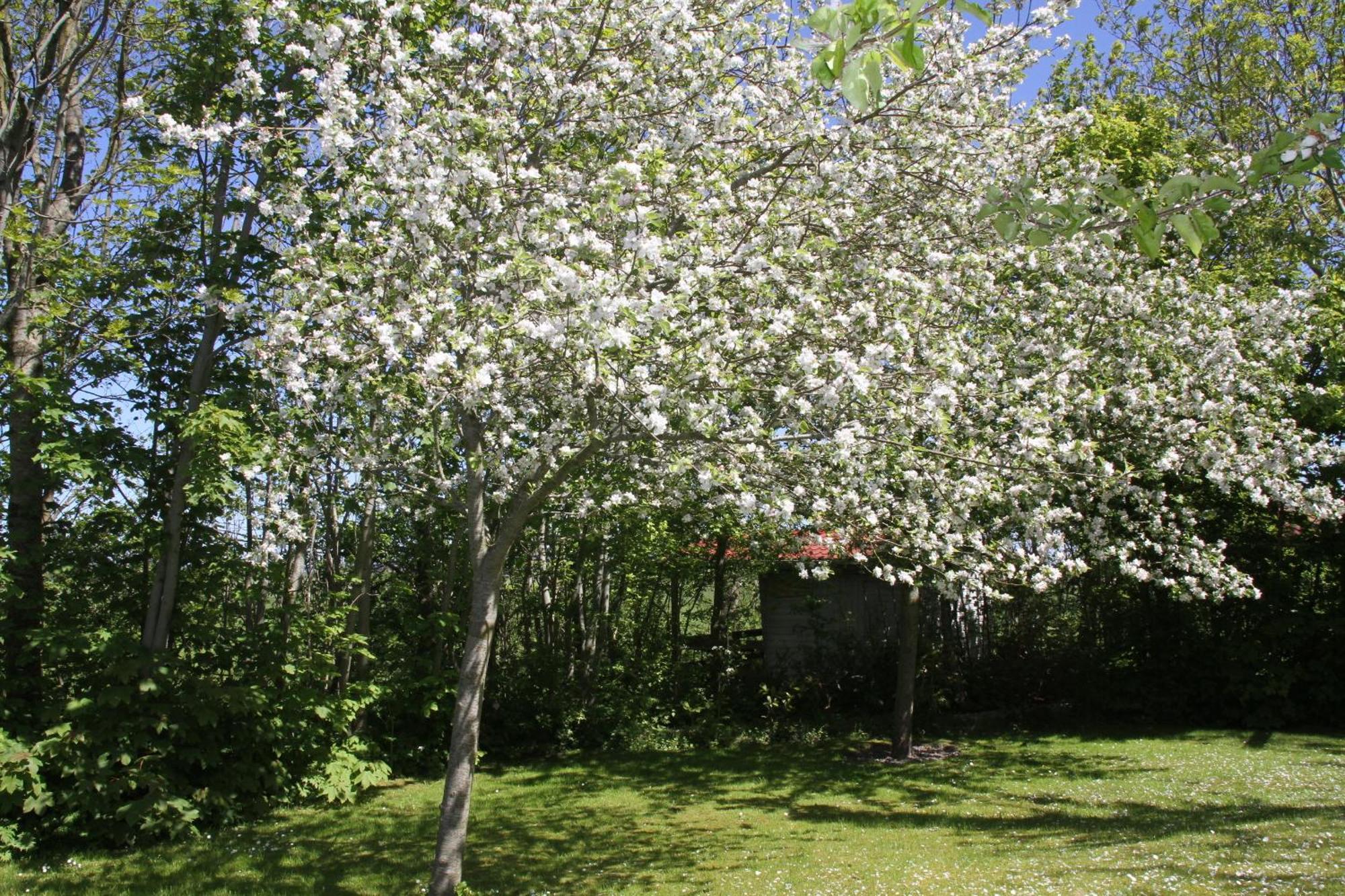Countryside Eco Natuurhuisjes Ee Kültér fotó