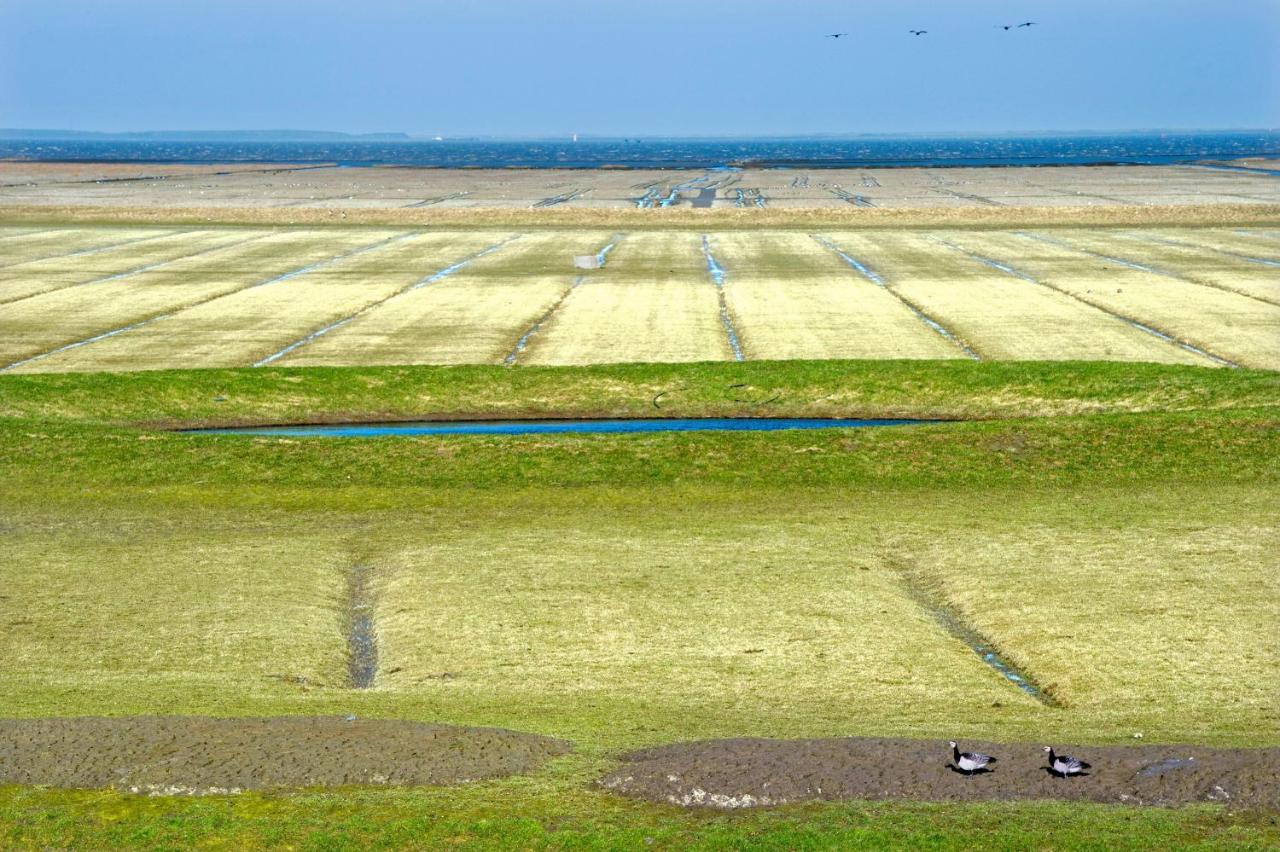 Countryside Eco Natuurhuisjes Ee Kültér fotó