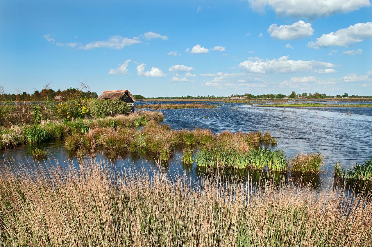 Countryside Eco Natuurhuisjes Ee Kültér fotó