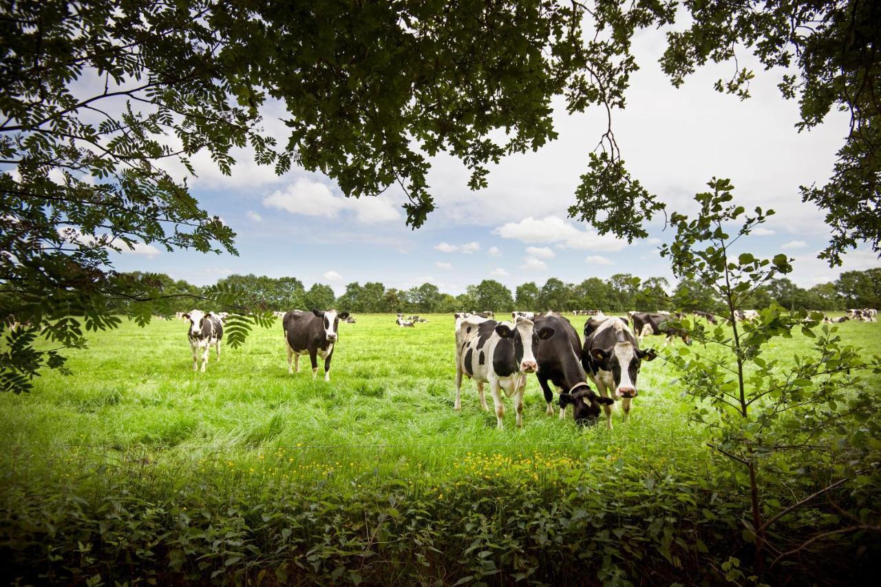 Countryside Eco Natuurhuisjes Ee Kültér fotó