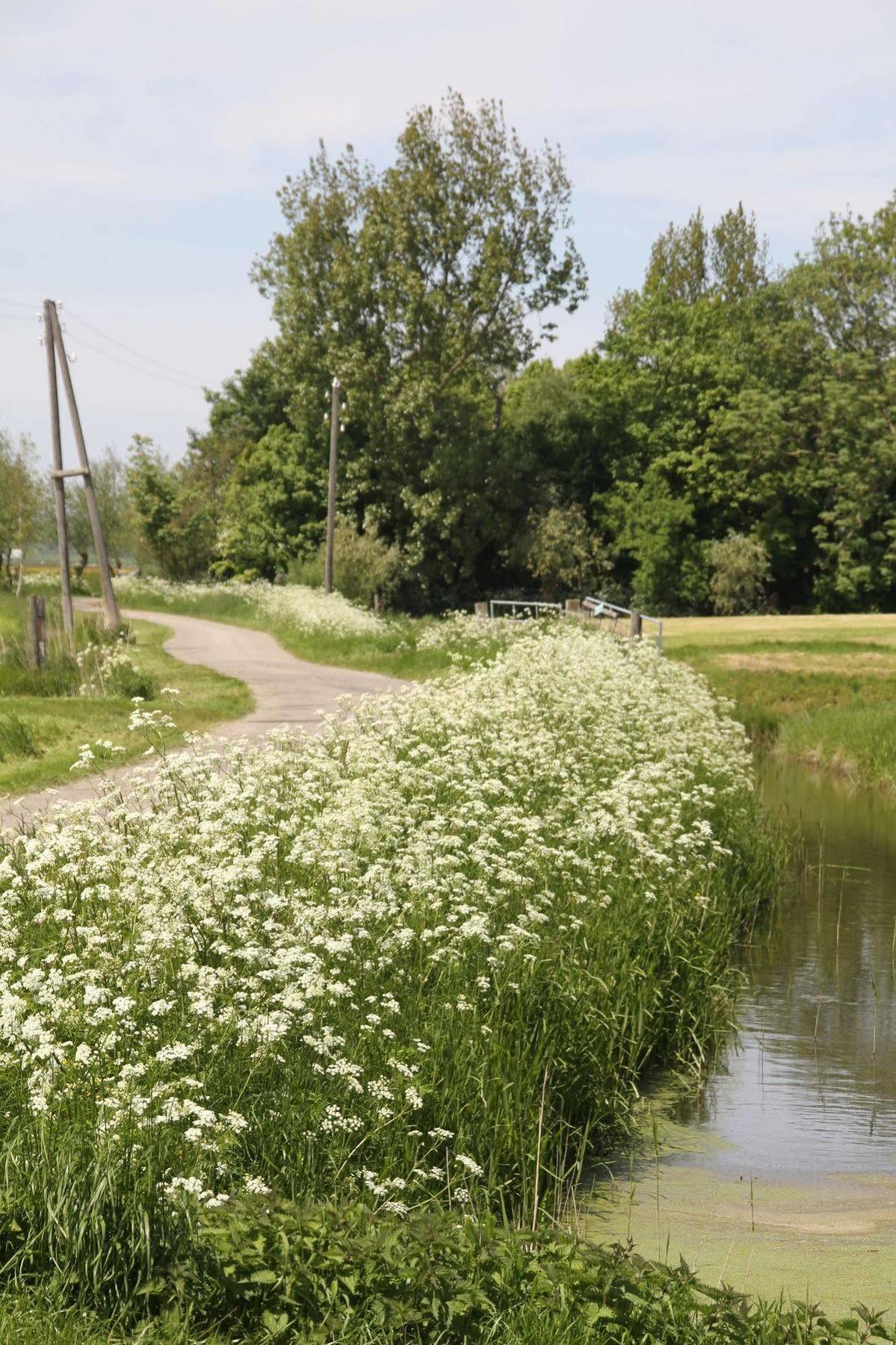 Countryside Eco Natuurhuisjes Ee Kültér fotó